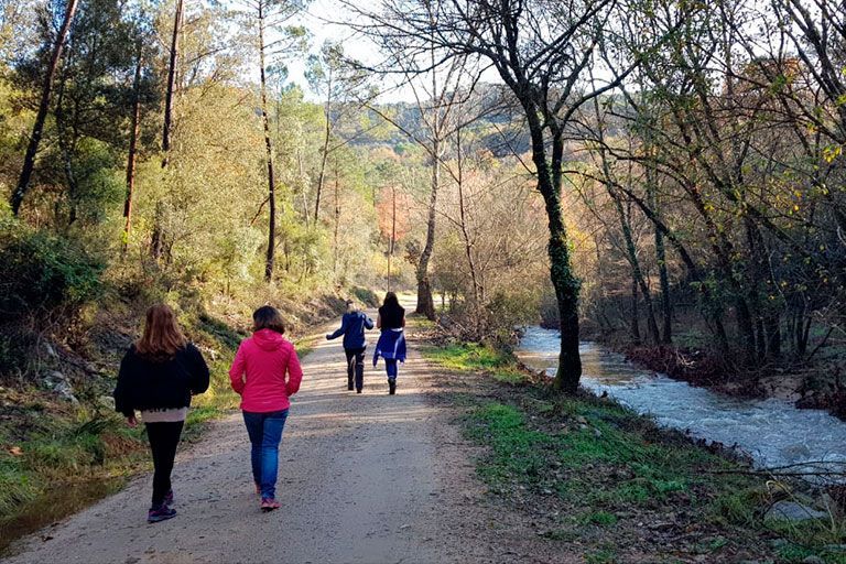 naturaleza en retiros de yoga