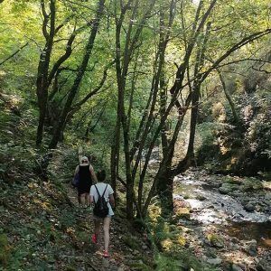 retiro yoga agosto navarra 2026