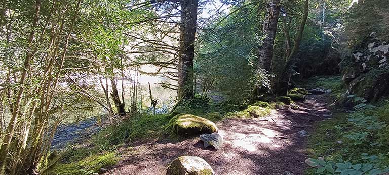 retiro yoga pirineos ordesa julio 2026