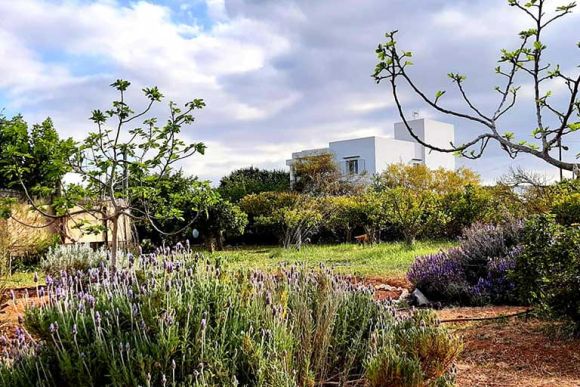 Retiro Ibiza 25-3